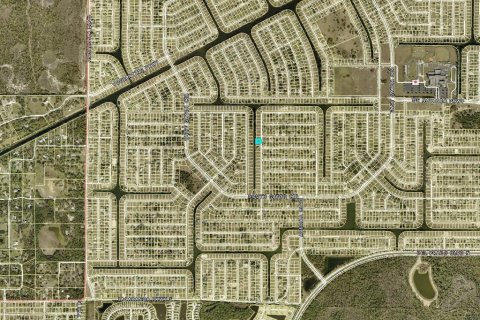 Land in Cape Coral, Florida № 2162661 - photo 10
