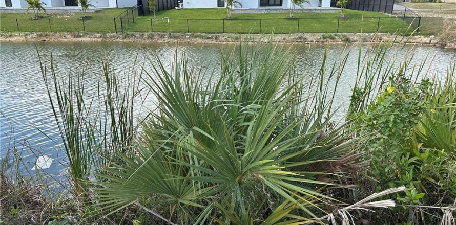 Land in Cape Coral, Florida № 2162661
