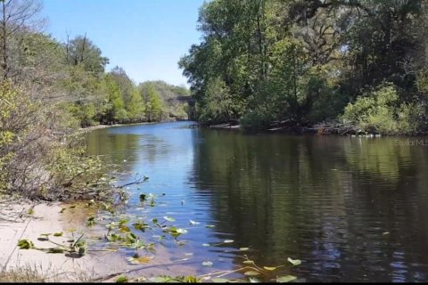 Land in Ocklawaha, Florida № 2275722