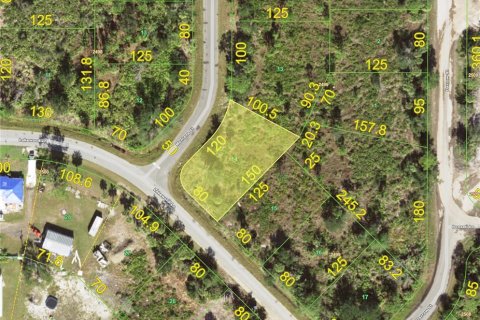 Land in Port Charlotte, Florida № 2164948