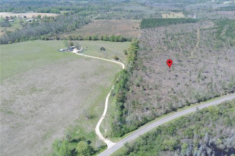 Terreno en venta en Cottondale, Florida № 1545277 - foto 3