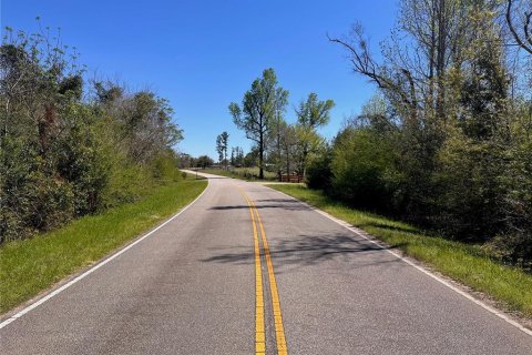 Terreno en venta en Cottondale, Florida № 1545277 - foto 24