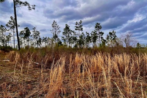 Terreno en venta en Cottondale, Florida № 1545277 - foto 19