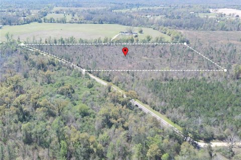 Terreno en venta en Cottondale, Florida № 1545277 - foto 1