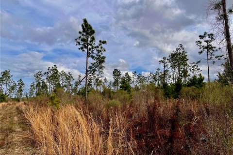 Terreno en venta en Cottondale, Florida № 1545277 - foto 30