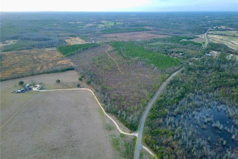 Terreno en venta en Cottondale, Florida № 1545277 - foto 12