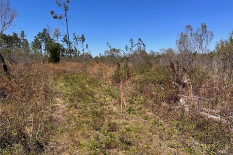 Terreno en venta en Cottondale, Florida № 1545277 - foto 16