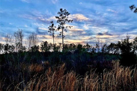 Terreno en venta en Cottondale, Florida № 1545277 - foto 18