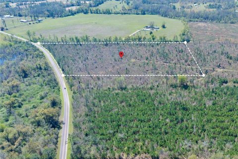 Terreno en venta en Cottondale, Florida № 1545277 - foto 2