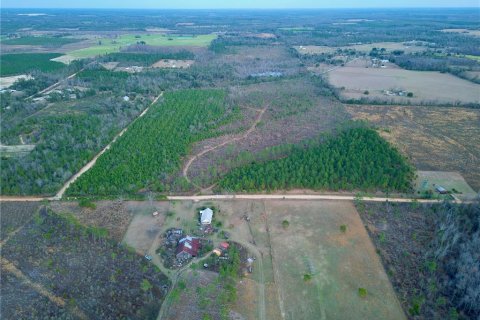Terreno en venta en Cottondale, Florida № 1545277 - foto 6