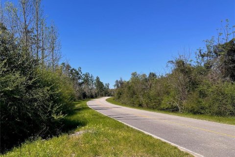 Terreno en venta en Cottondale, Florida № 1545277 - foto 14