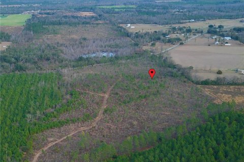 Terreno en venta en Cottondale, Florida № 1545277 - foto 8
