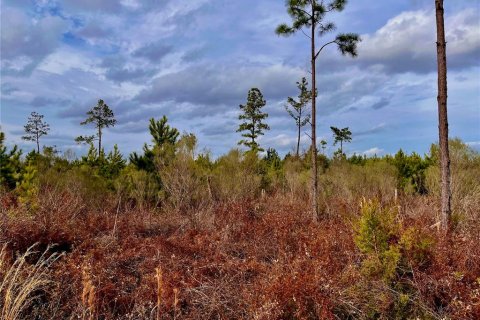 Terreno en venta en Cottondale, Florida № 1545277 - foto 29
