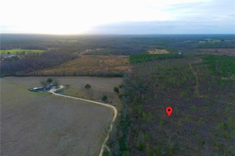 Terreno en venta en Cottondale, Florida № 1545277 - foto 9