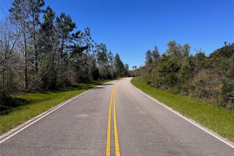 Terreno en venta en Cottondale, Florida № 1545277 - foto 15
