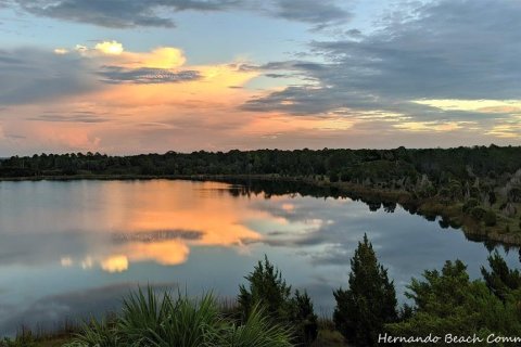 Land in Hernando Beach, Florida № 2123893 - photo 26