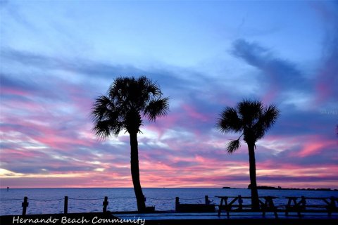 Land in Hernando Beach, Florida № 2123893 - photo 9
