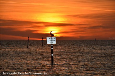 Land in Hernando Beach, Florida № 2123893 - photo 10