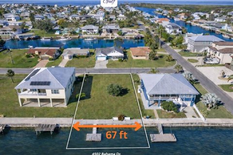 Land in Hernando Beach, Florida № 2123893 - photo 4