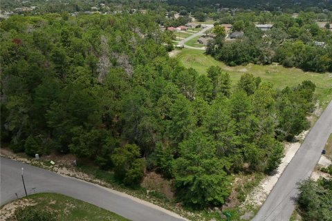 Terrain à Spring Hill, Floride № 2431788