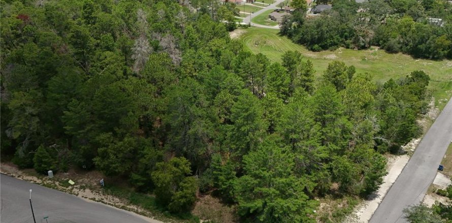 Terrain à Spring Hill, Floride № 2431788