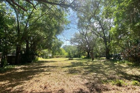 Land in Winter Garden, Florida № 2226698