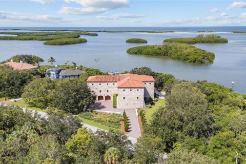 Casa en venta en Saint Petersburg, Florida, 7 dormitorios, 1119.1 m2 № 1554490 - foto 2