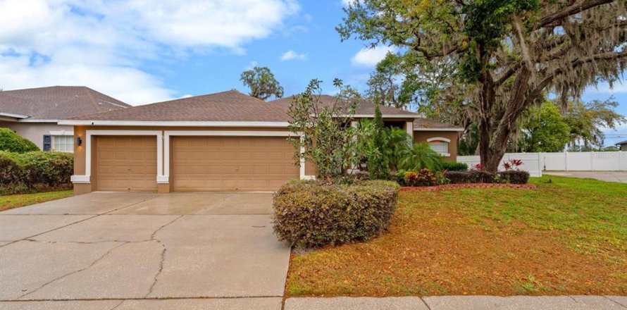 House in Valrico, Florida 4 bedrooms, 252.69 sq.m. № 1635160