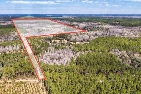 Land in Chiefland, Florida № 2212440