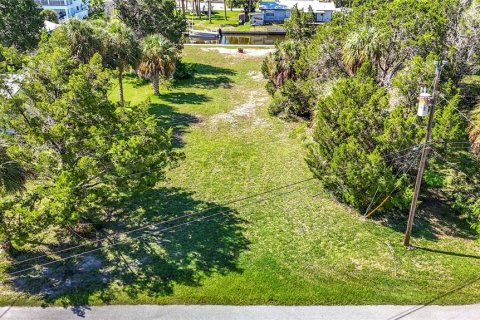 Terreno en venta en Hernando Beach, Florida № 2302689 - foto 7
