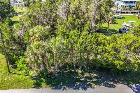Terreno en venta en Hernando Beach, Florida № 2302689 - foto 8