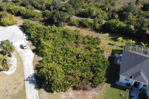 Land in Rotonda, Florida № 2160977 - photo 7