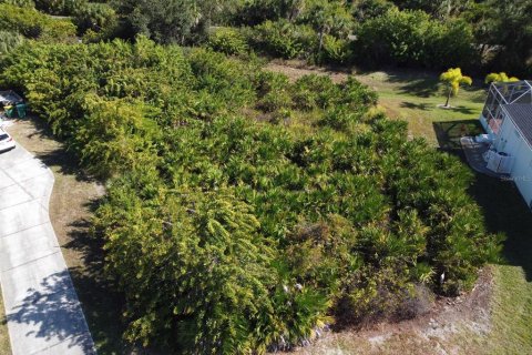 Land in Rotonda, Florida № 2160977 - photo 6