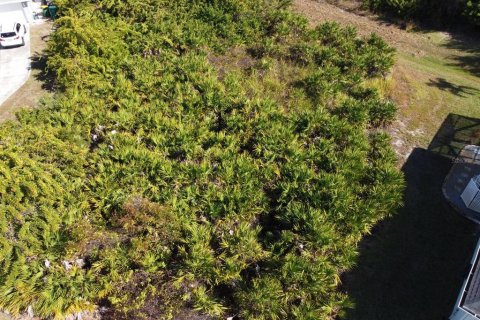 Land in Rotonda, Florida № 2160977 - photo 4