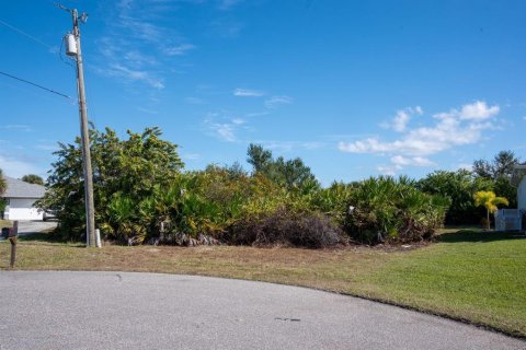 Land in Rotonda, Florida № 2160977 - photo 2