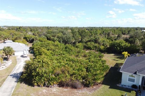 Land in Rotonda, Florida № 2160977 - photo 3