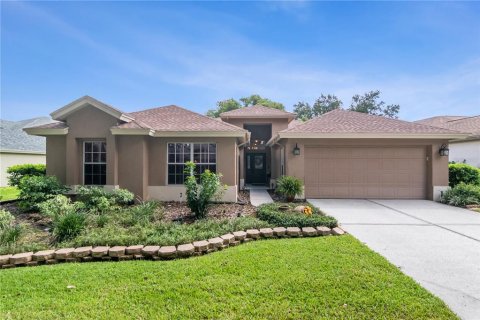 Villa ou maison à Valrico, Floride 4 chambres, 190.26 m2 № 2391244