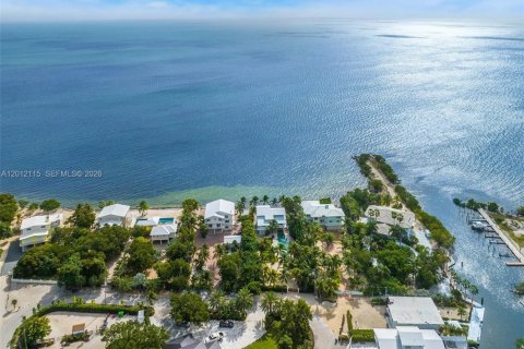 Villa ou maison à vendre à Key Largo, Floride: 3 chambres, 274.06 m2 № 2336694 - photo 11