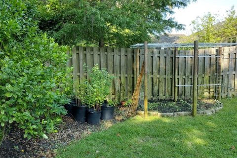 Casa en alquiler en Gainesville, Florida, 3 dormitorios, 180.51 m2 № 1907989 - foto 25