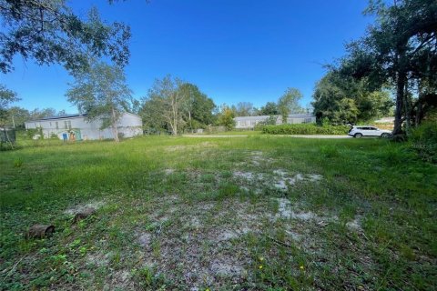 Terreno en venta en Orlando, Florida № 1913967 - foto 8