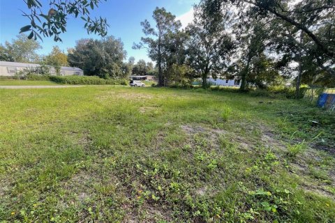 Terreno en venta en Orlando, Florida № 1913967 - foto 7