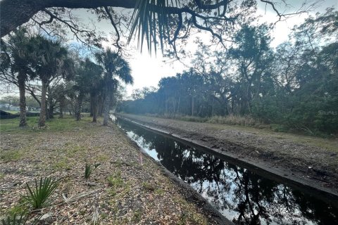 Land in Tampa, Florida № 393644 - photo 6