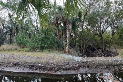 Land in Tampa, Florida № 393644 - photo 5