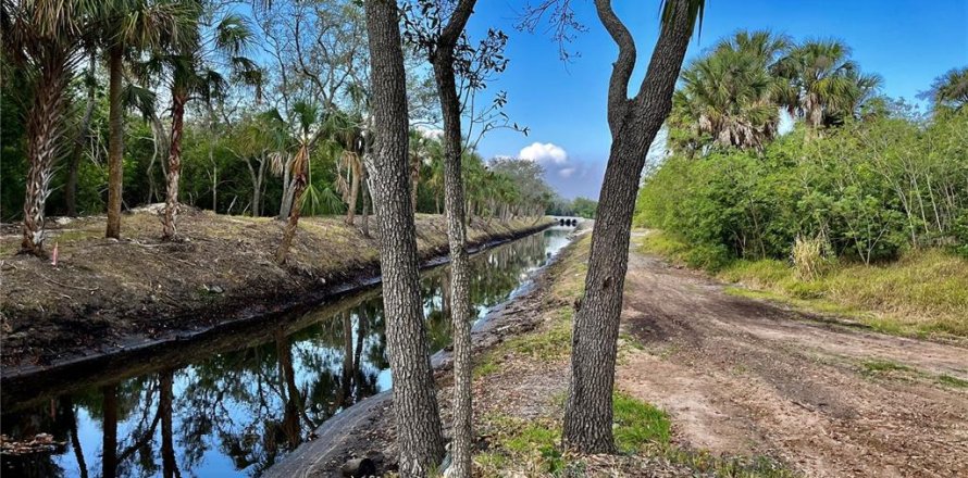 Land in Tampa, Florida № 393644