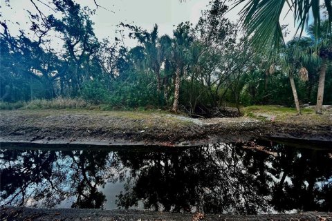 Land in Tampa, Florida № 393644 - photo 4
