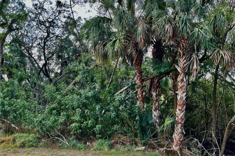 Land in Tampa, Florida № 393644 - photo 2