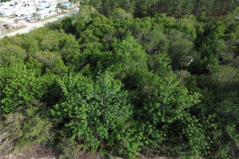 Land in Sebring, Florida № 2214689