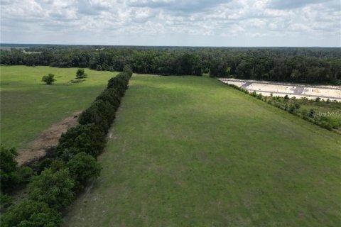 Land in Gainesville, Florida № 2098501 - photo 3