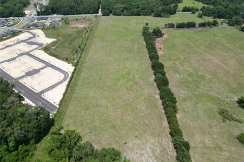 Land in Gainesville, Florida № 2098501 - photo 2