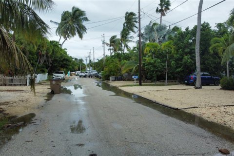 Terrain à vendre à Marathon, Floride № 1963940 - photo 8